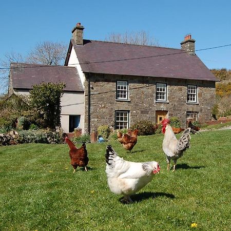 Вилла Nantgwynfaen Organic Farm Wales Llandysul Экстерьер фото