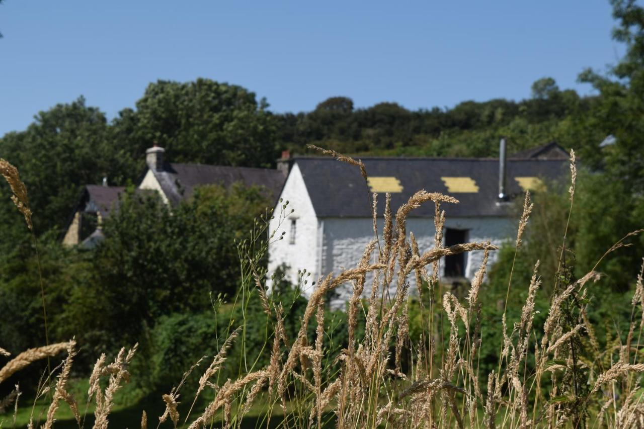 Вилла Nantgwynfaen Organic Farm Wales Llandysul Экстерьер фото