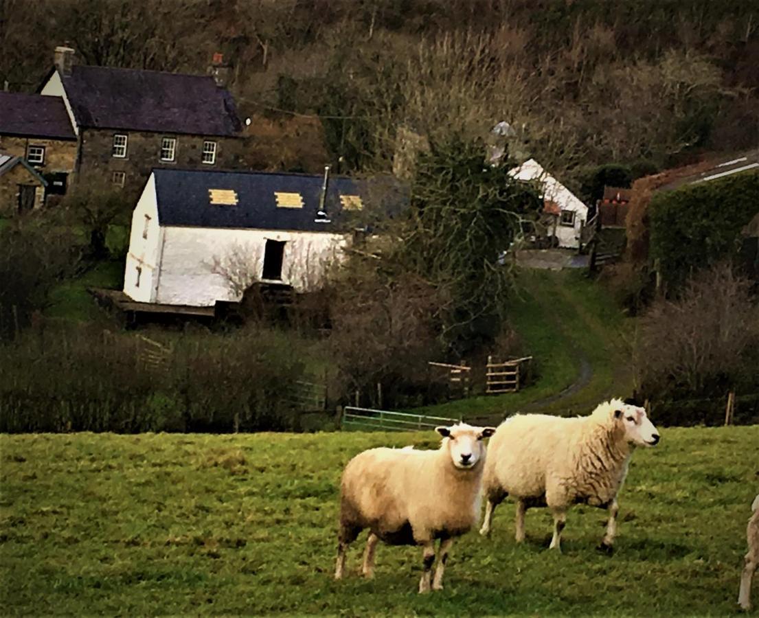 Вилла Nantgwynfaen Organic Farm Wales Llandysul Экстерьер фото