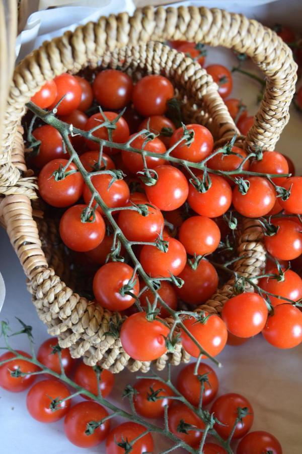 Вилла Nantgwynfaen Organic Farm Wales Llandysul Экстерьер фото