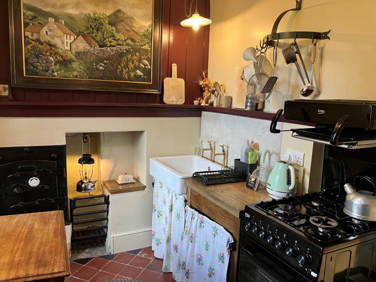 Вилла Nantgwynfaen Organic Farm Wales Llandysul Экстерьер фото