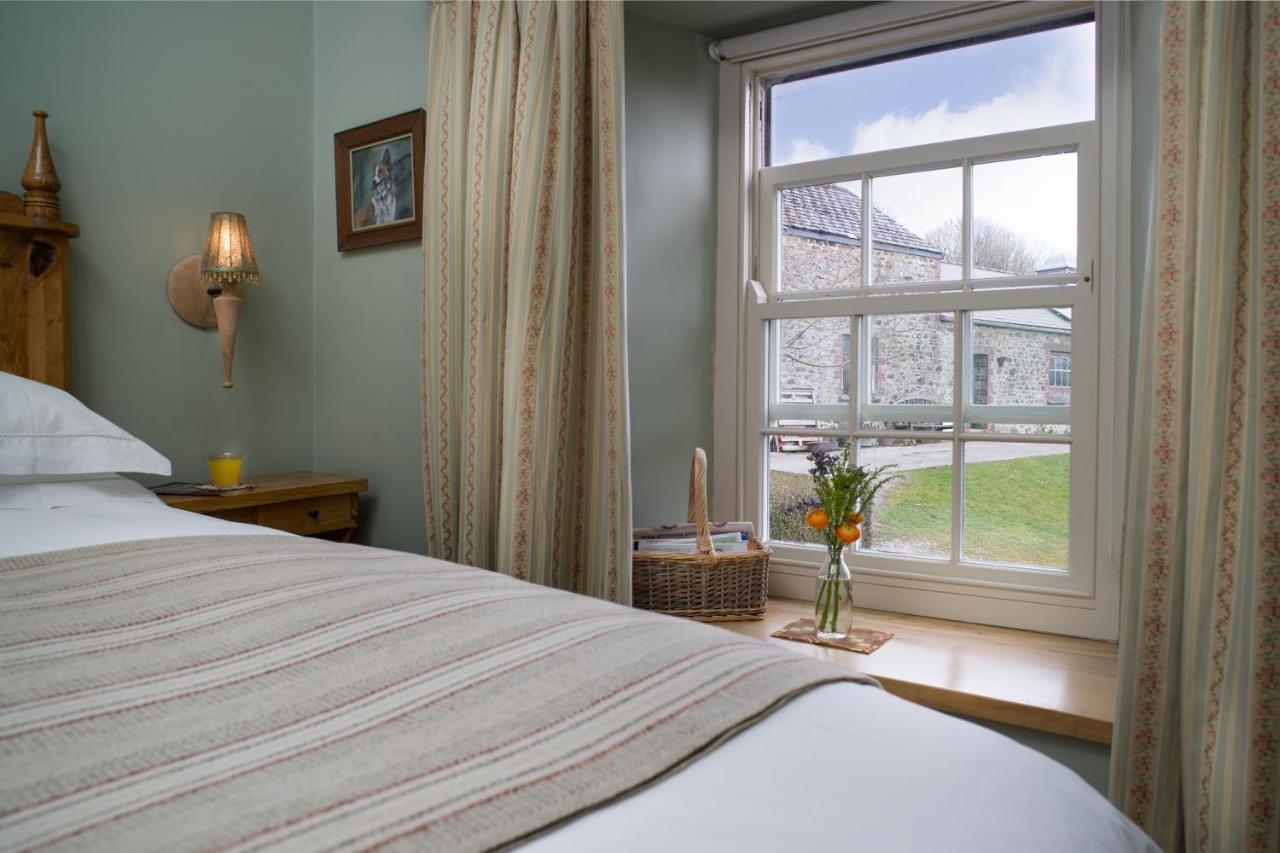 Вилла Nantgwynfaen Organic Farm Wales Llandysul Экстерьер фото
