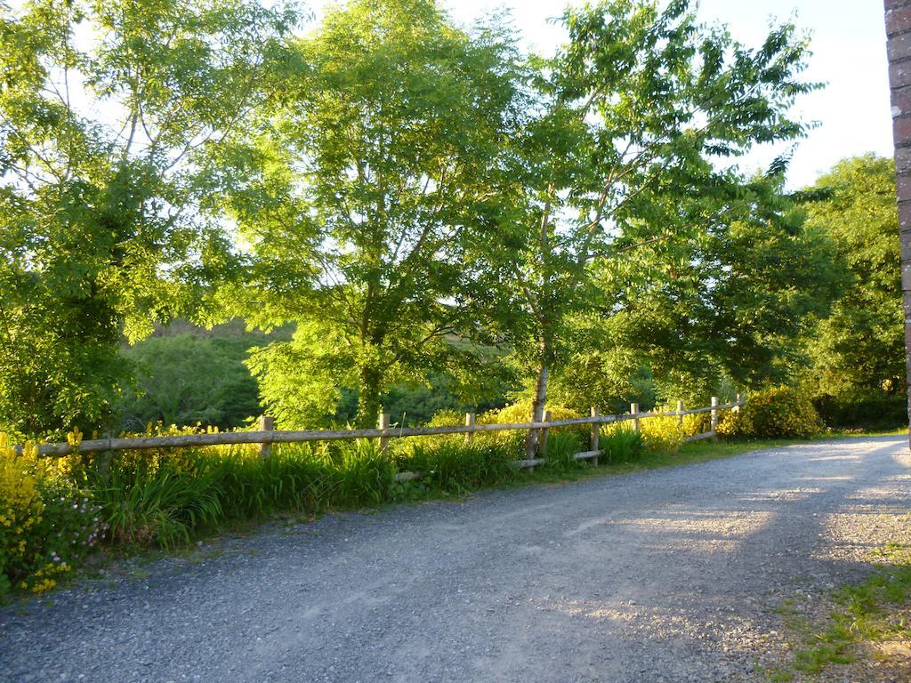 Вилла Nantgwynfaen Organic Farm Wales Llandysul Экстерьер фото