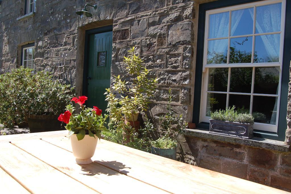 Вилла Nantgwynfaen Organic Farm Wales Llandysul Экстерьер фото