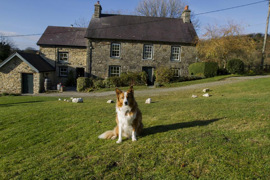 Вилла Nantgwynfaen Organic Farm Wales Llandysul Экстерьер фото